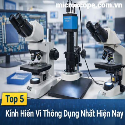 Top 5 loại kính hiển vi thông dụng nhất