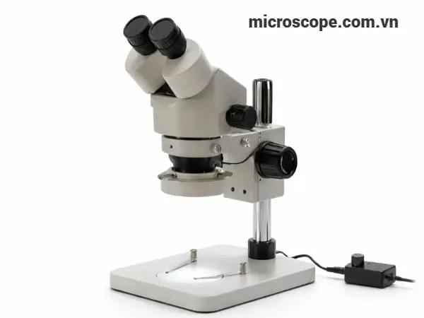 Kính hiển vi soi nổi SZM60