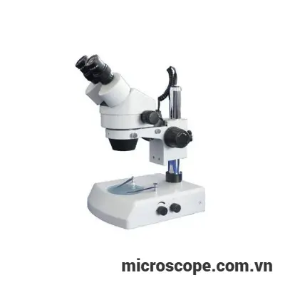 Kính hiển vi soi nổi XTL-2400