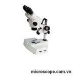 Kính hiển vi XTL-2400